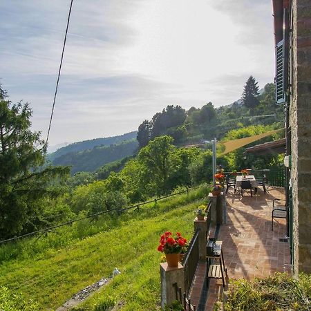 Casa Serena Villa Petrognano  Kültér fotó
