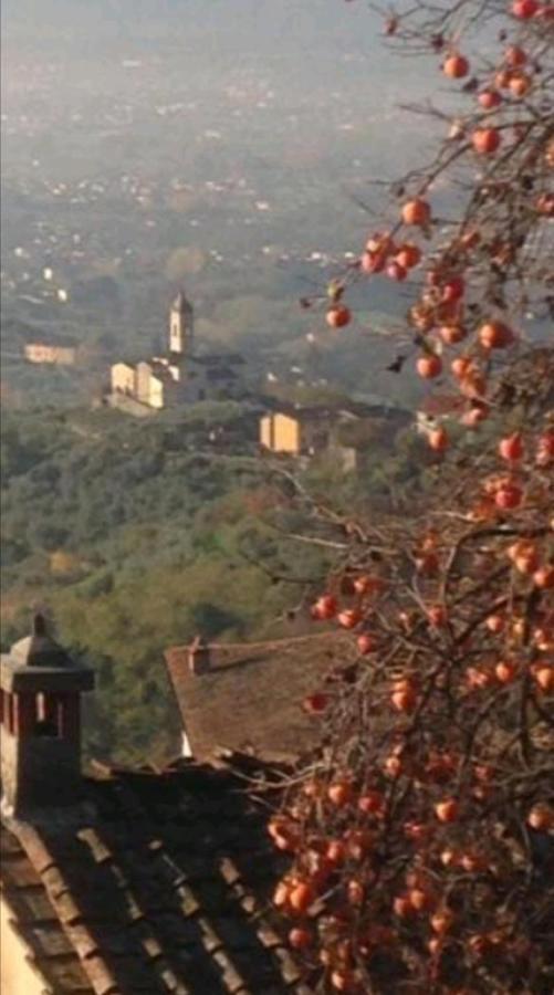Casa Serena Villa Petrognano  Kültér fotó