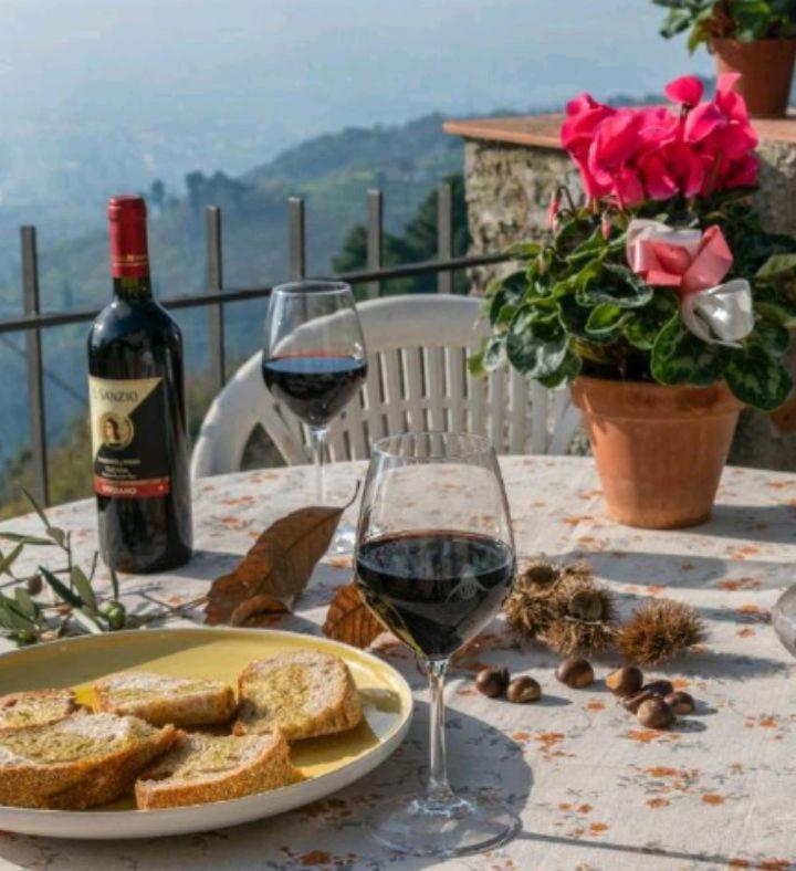 Casa Serena Villa Petrognano  Kültér fotó