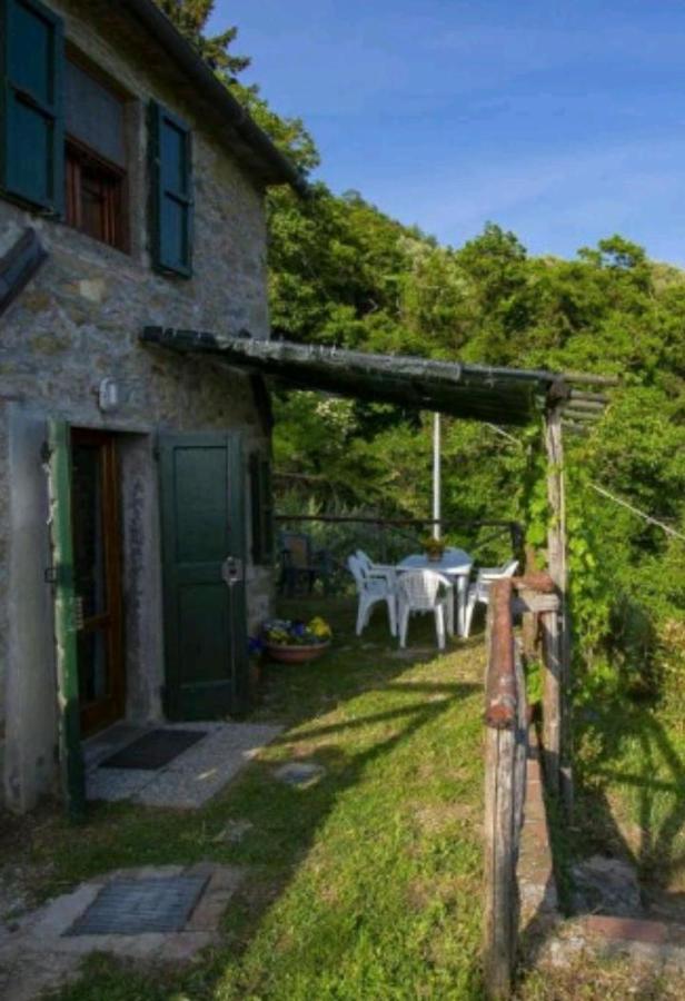 Casa Serena Villa Petrognano  Kültér fotó