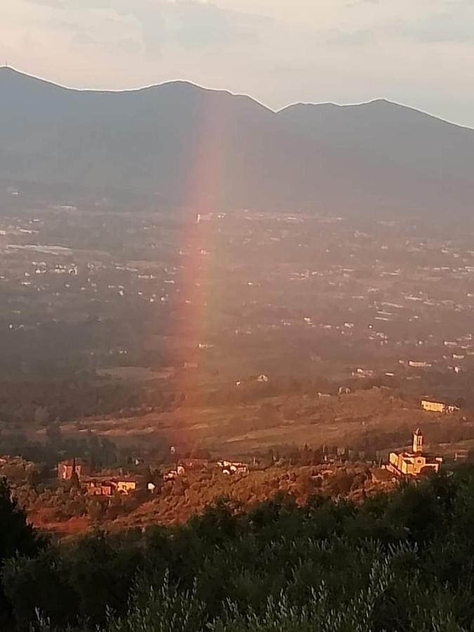 Casa Serena Villa Petrognano  Kültér fotó