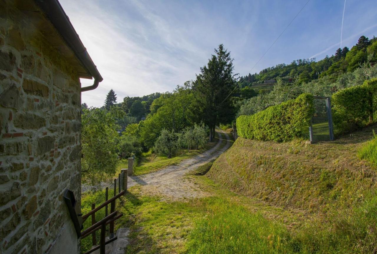 Casa Serena Villa Petrognano  Kültér fotó