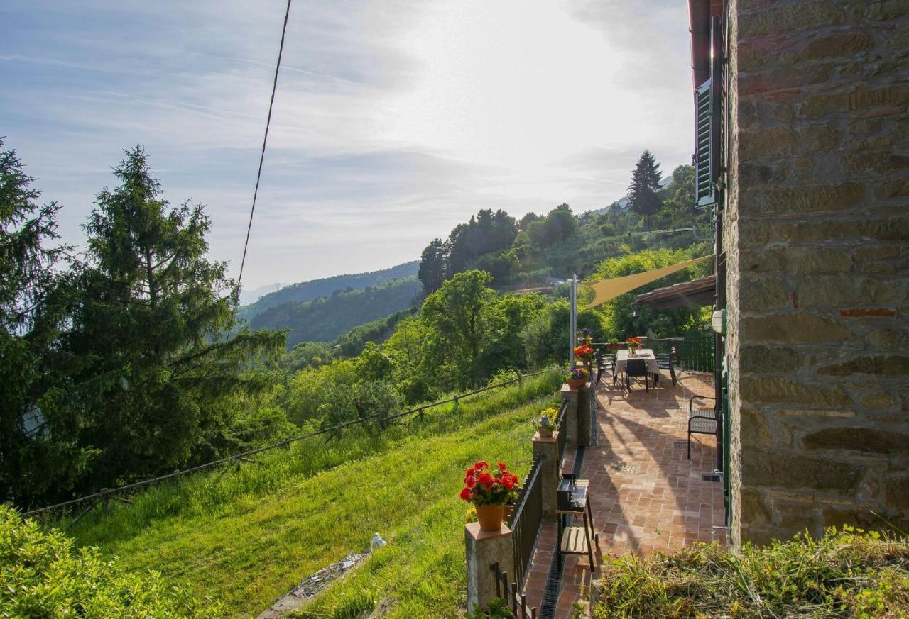 Casa Serena Villa Petrognano  Kültér fotó