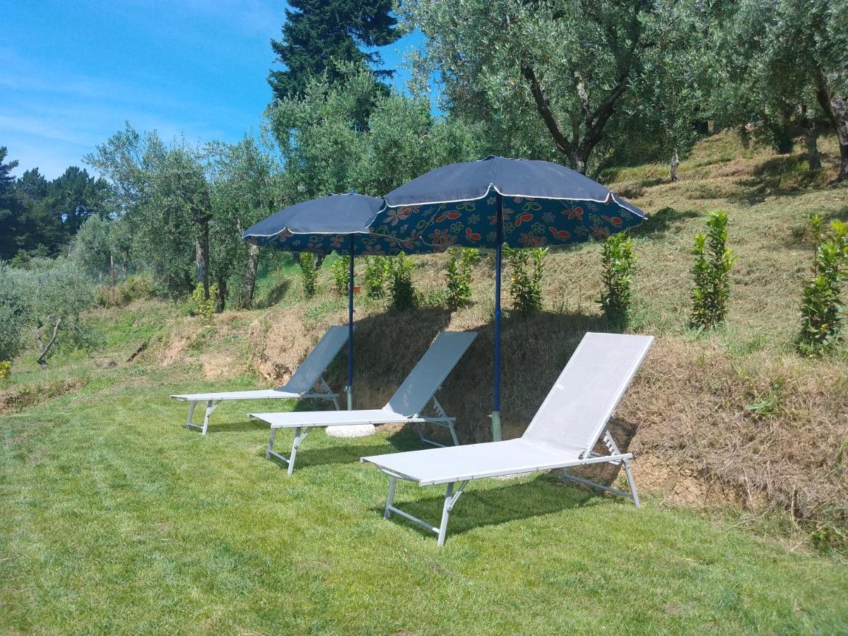 Casa Serena Villa Petrognano  Kültér fotó