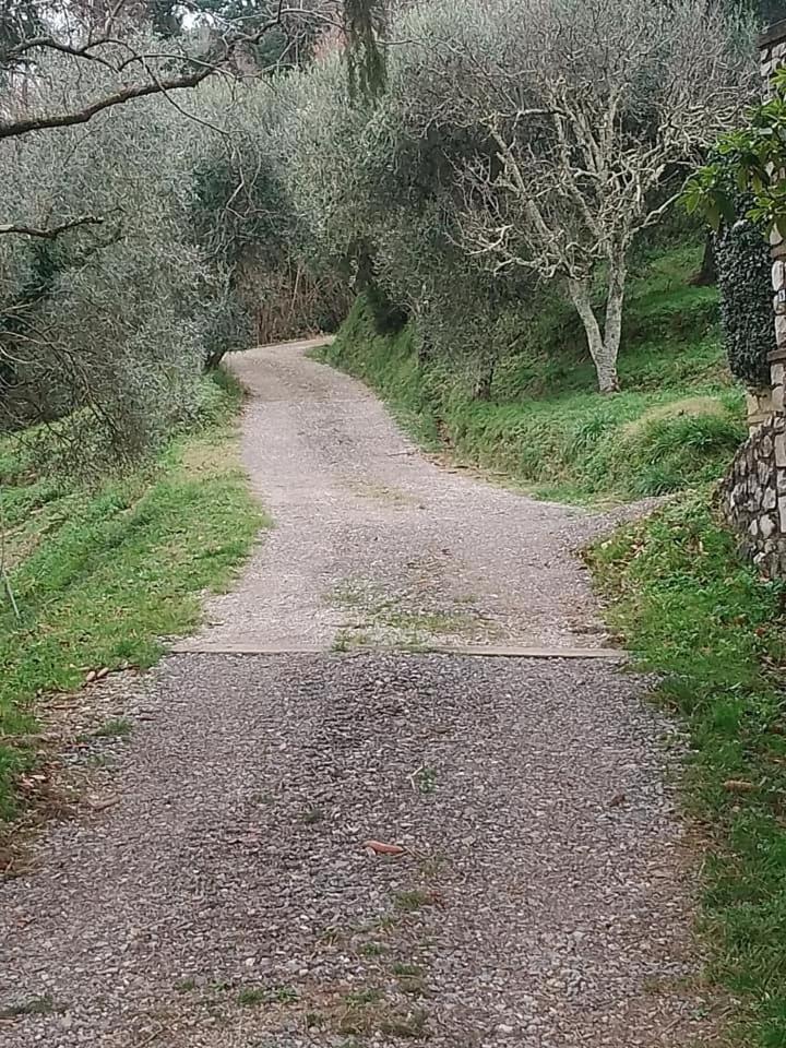 Casa Serena Petrognano  Kültér fotó